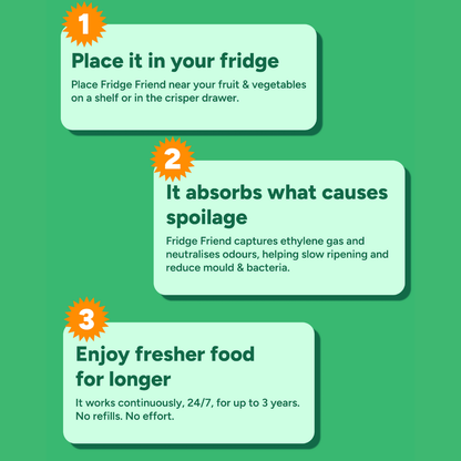 Refrigerator Odor Eliminator