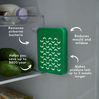 Refrigerator Odor Eliminator