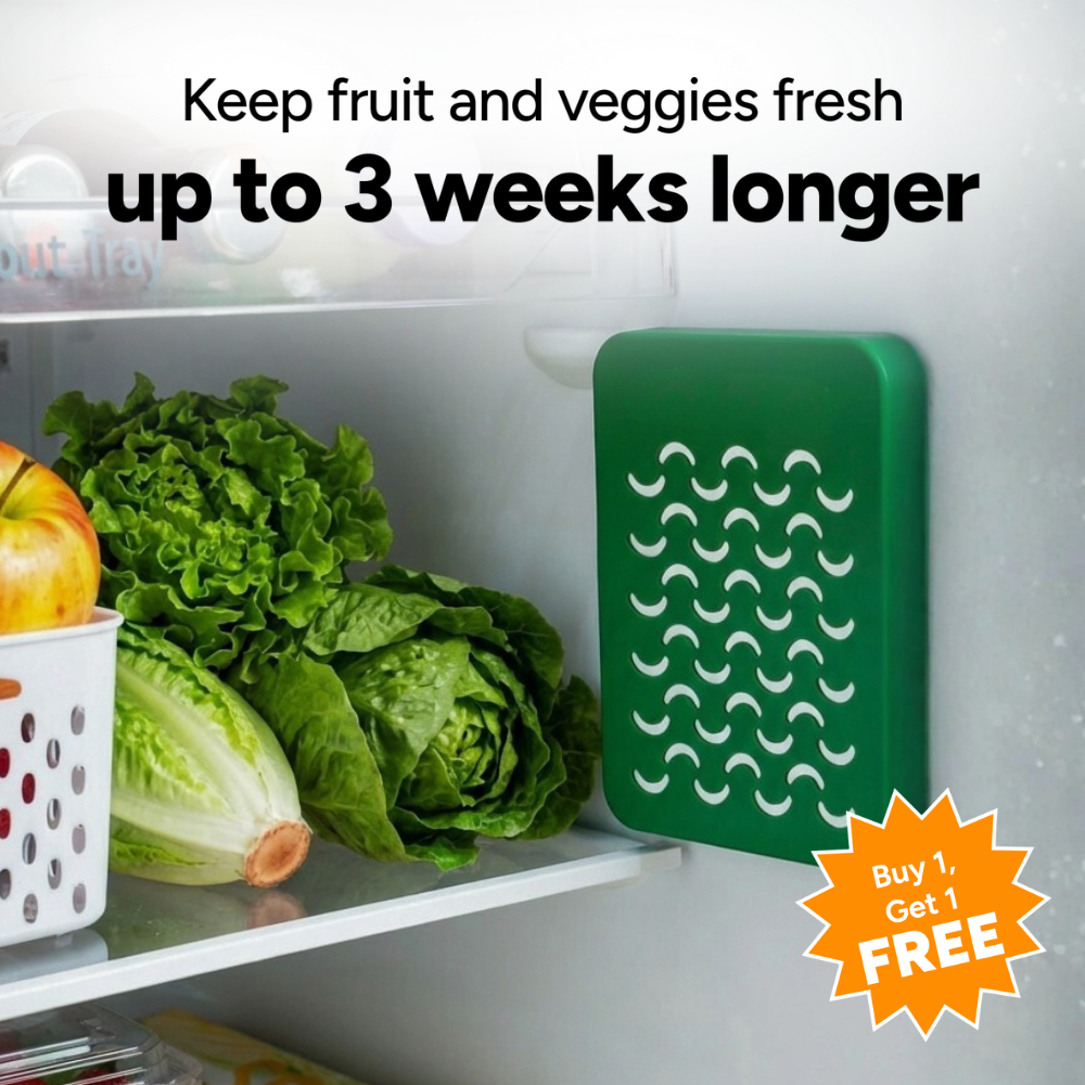 Refrigerator Odor Eliminator