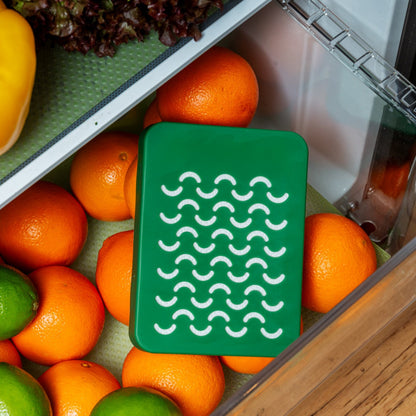 Refrigerator Odor Eliminator